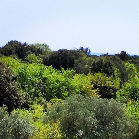 Villa Mareonda - Apartments Sussurro ロヴィニ エクステリア 写真