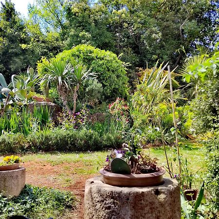 Villa Mareonda - Apartments Sussurro ロヴィニ エクステリア 写真