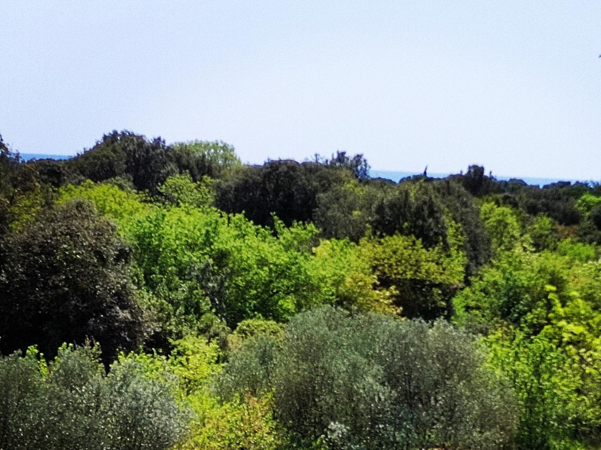 Villa Mareonda - Apartments Sussurro ロヴィニ エクステリア 写真