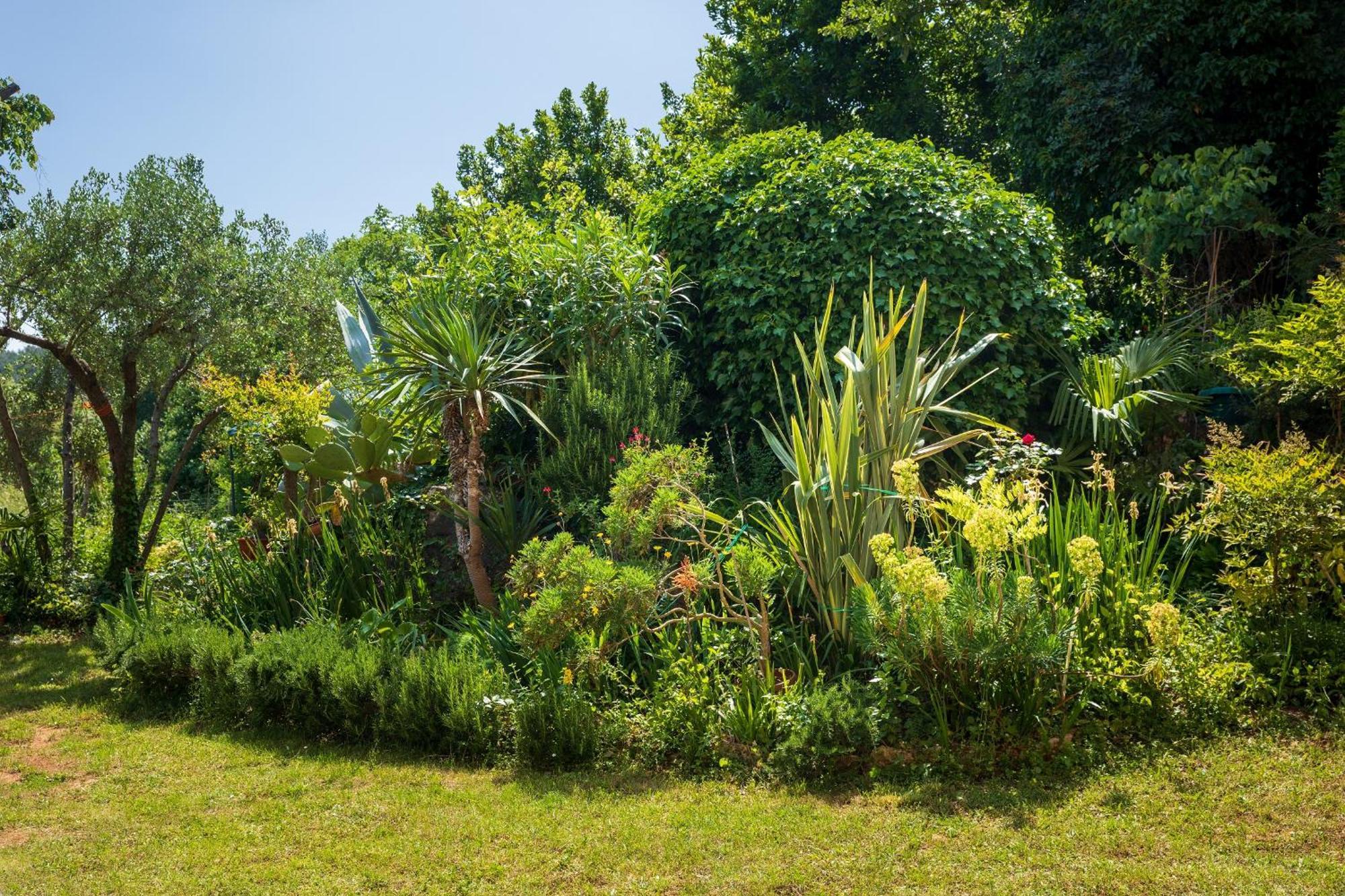 Villa Mareonda - Apartments Sussurro ロヴィニ エクステリア 写真