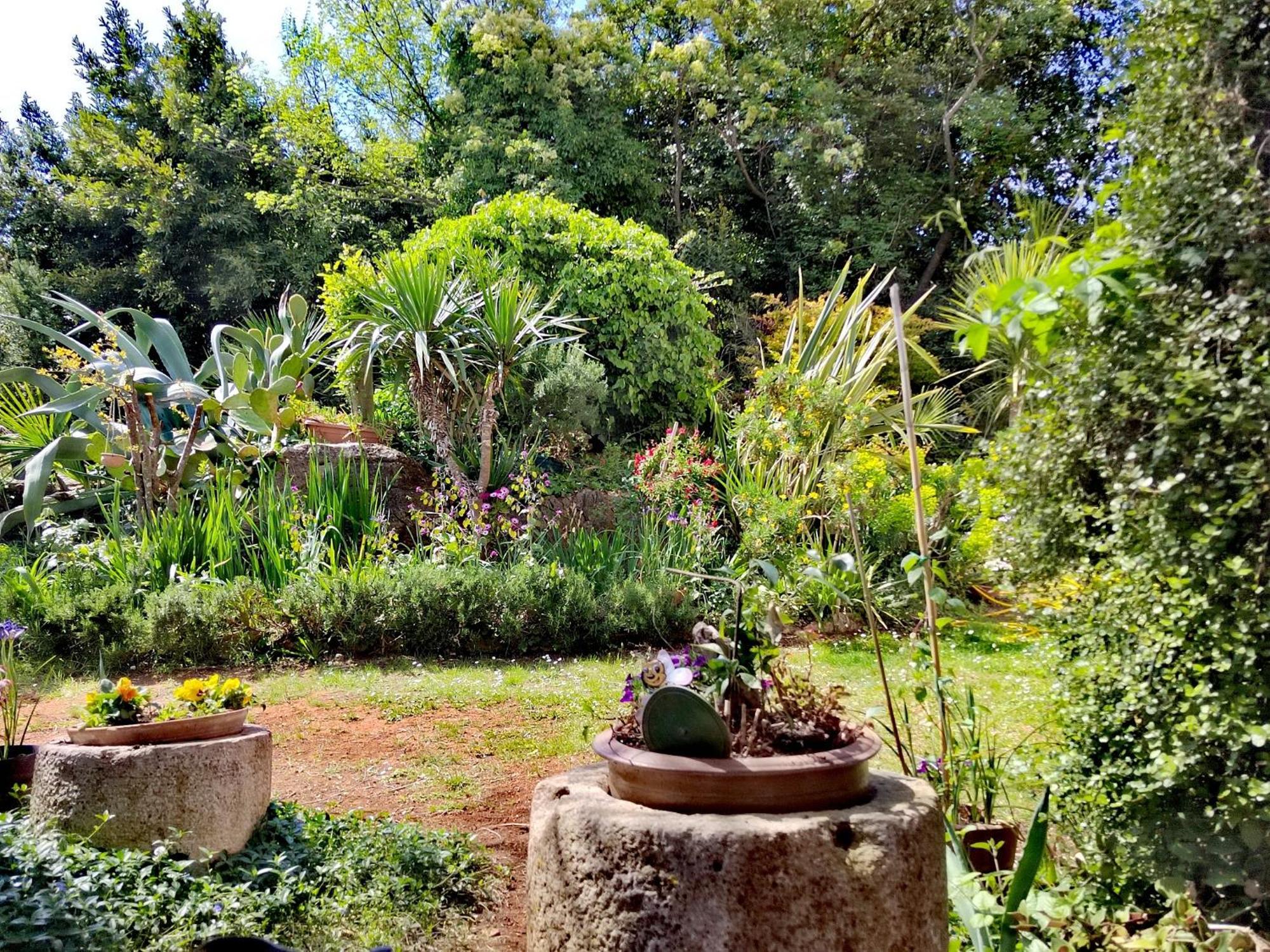 Villa Mareonda - Apartments Sussurro ロヴィニ エクステリア 写真